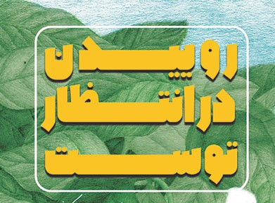 سفری عارفانه از تاریکی تا نور